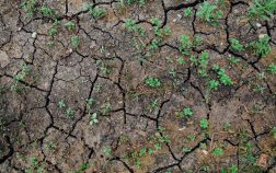 pret teren Bucuresti