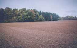 certificat de urbanism de informare